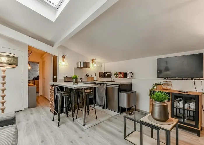 Apartment T2 Cosy Canal Du Midi Toulouse