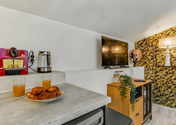 T2 Cosy Canal Du Midi Apartment